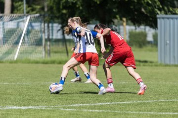 Bild 246 - wBJ HSV Leistungsvergleich